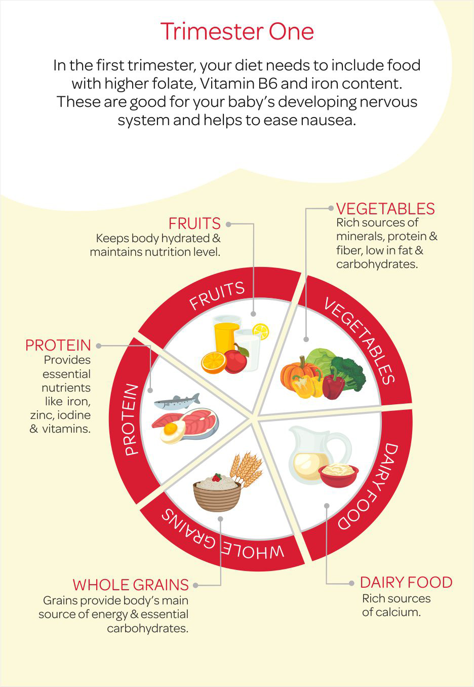 Trimester one diet plan